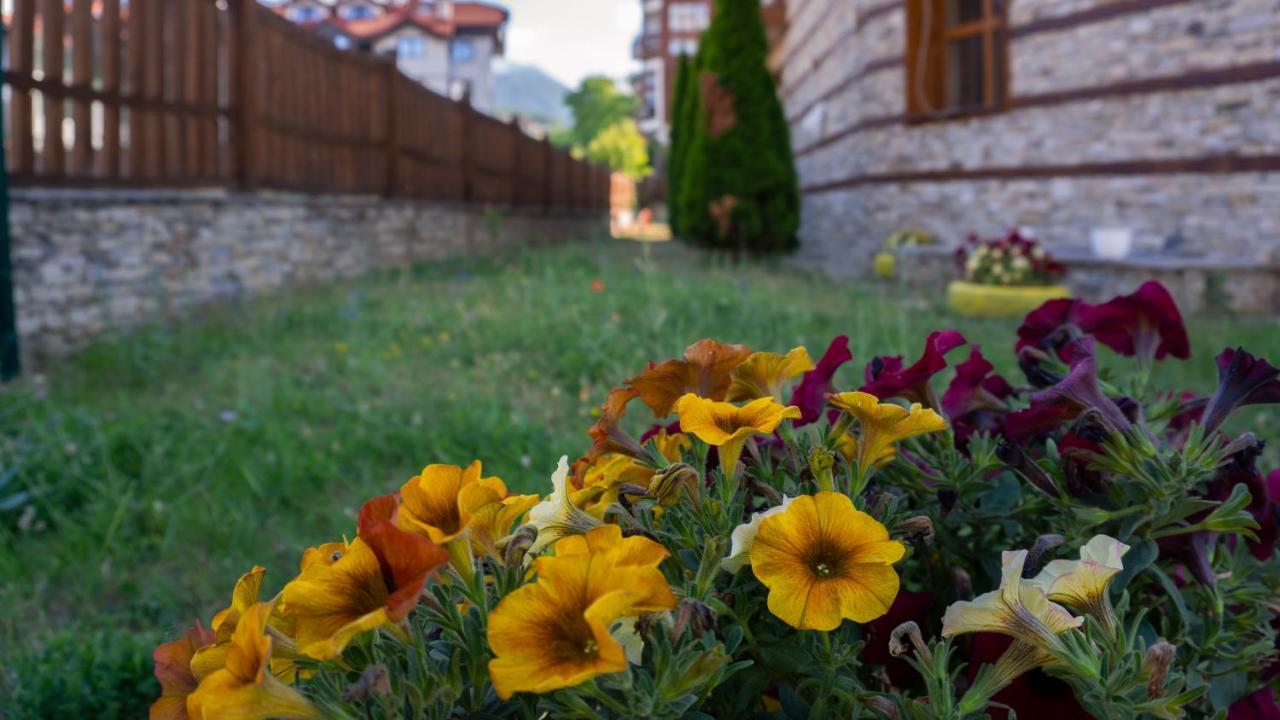 Two Bedroom Apartments In Murphys Lodge Bansko Eksteriør billede